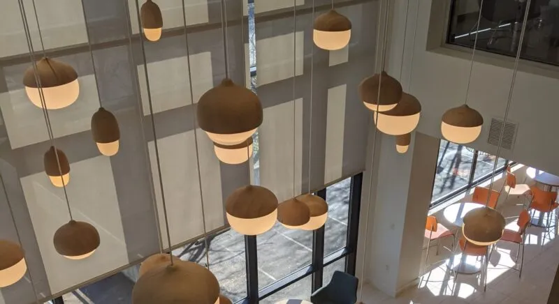 Sheps Acorn Lights