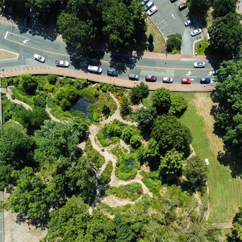 Drone view of Carolina's campus with trees and a road lined with cars