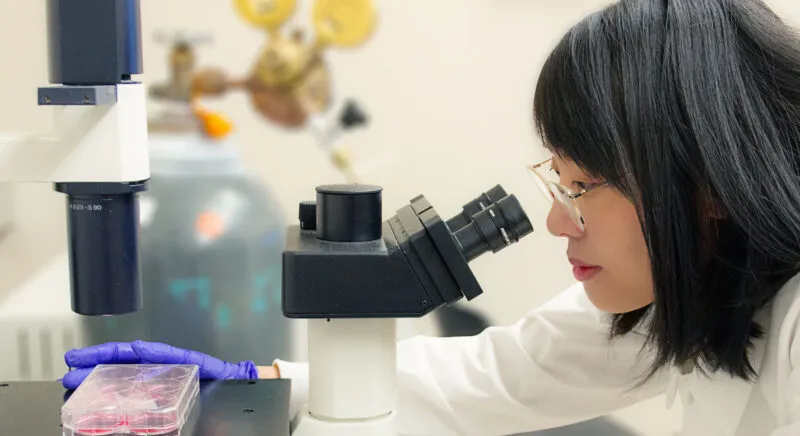Dr. Yanping at a microscope in a lab.